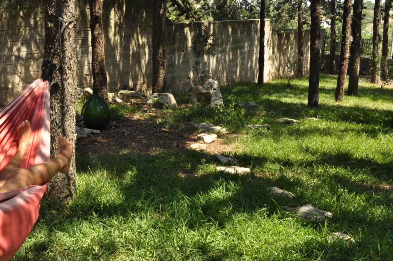 קאסאנו דלה מורג'ה Villa Parco Alta Murgia מראה חיצוני תמונה