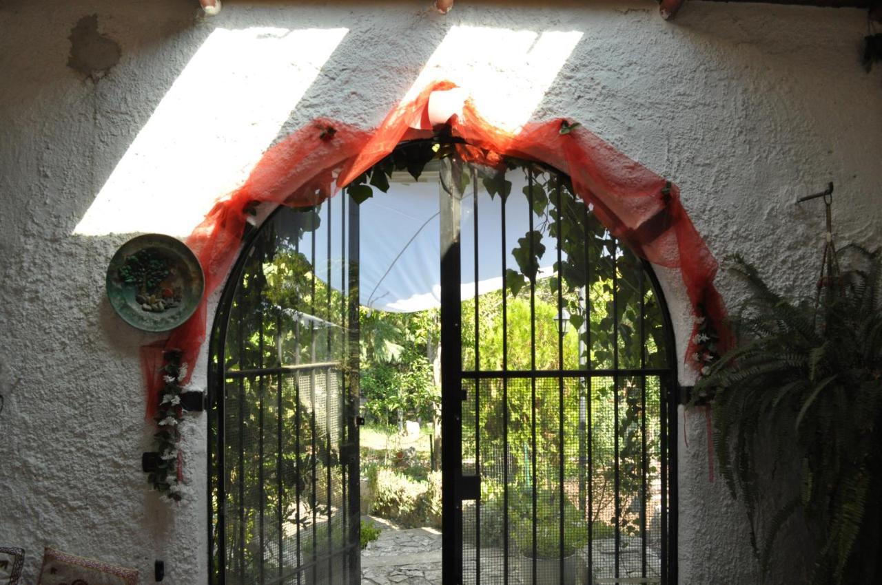 קאסאנו דלה מורג'ה Villa Parco Alta Murgia מראה חיצוני תמונה