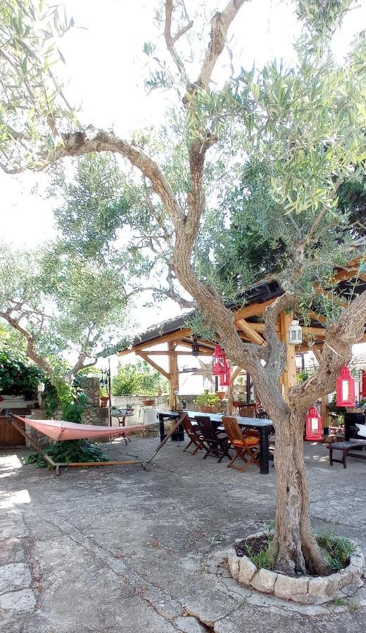 קאסאנו דלה מורג'ה Villa Parco Alta Murgia מראה חיצוני תמונה