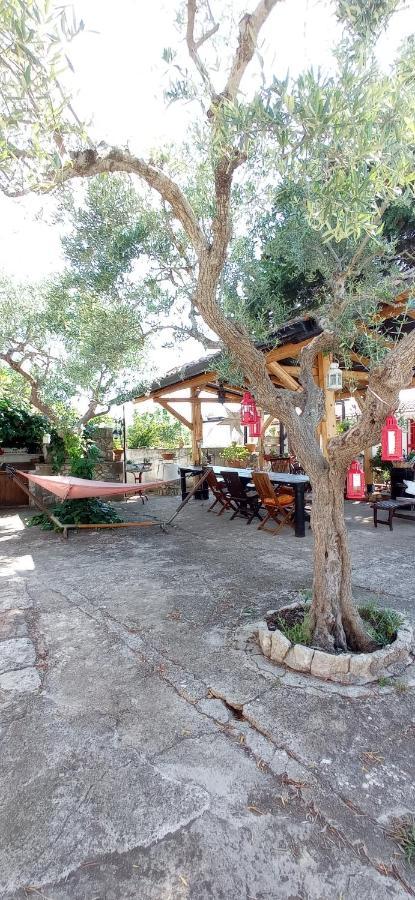 קאסאנו דלה מורג'ה Villa Parco Alta Murgia מראה חיצוני תמונה
