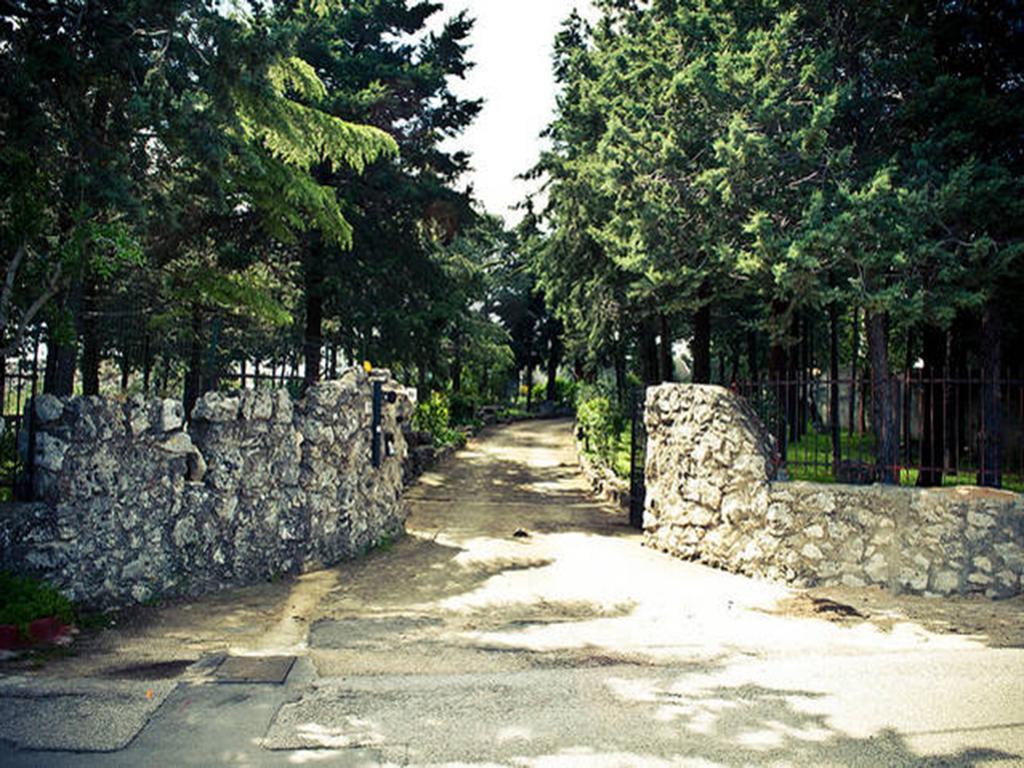 קאסאנו דלה מורג'ה Villa Parco Alta Murgia חדר תמונה