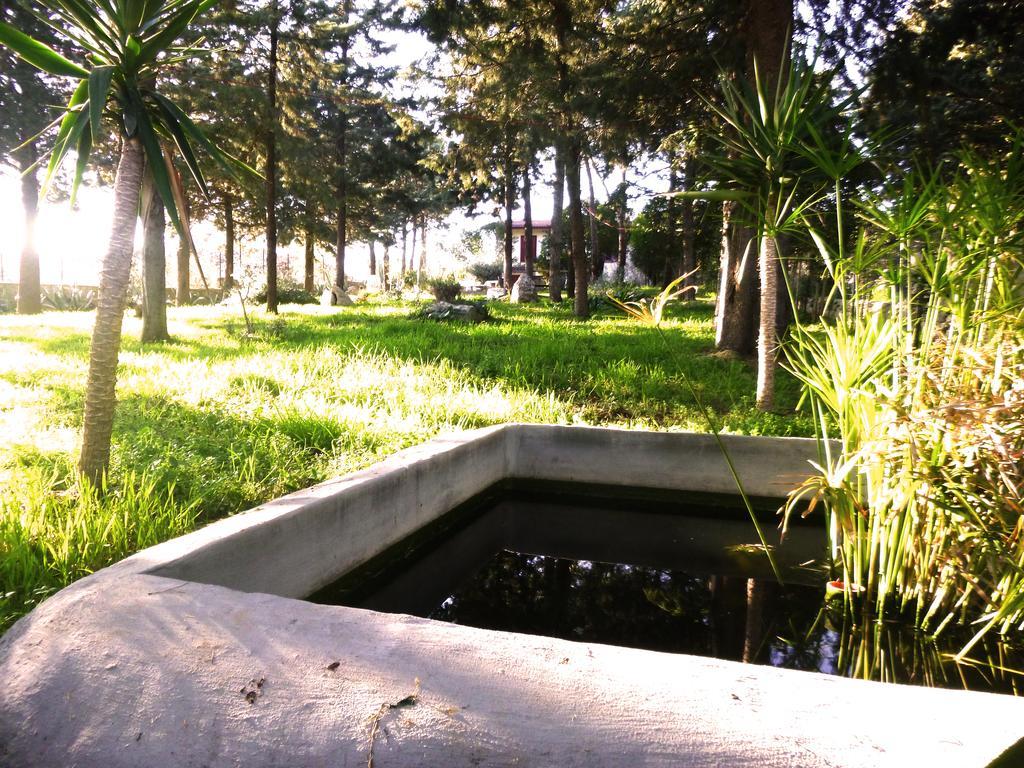 קאסאנו דלה מורג'ה Villa Parco Alta Murgia מראה חיצוני תמונה