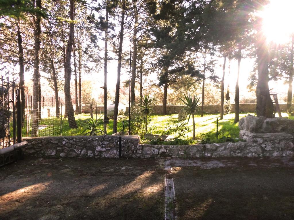 קאסאנו דלה מורג'ה Villa Parco Alta Murgia מראה חיצוני תמונה