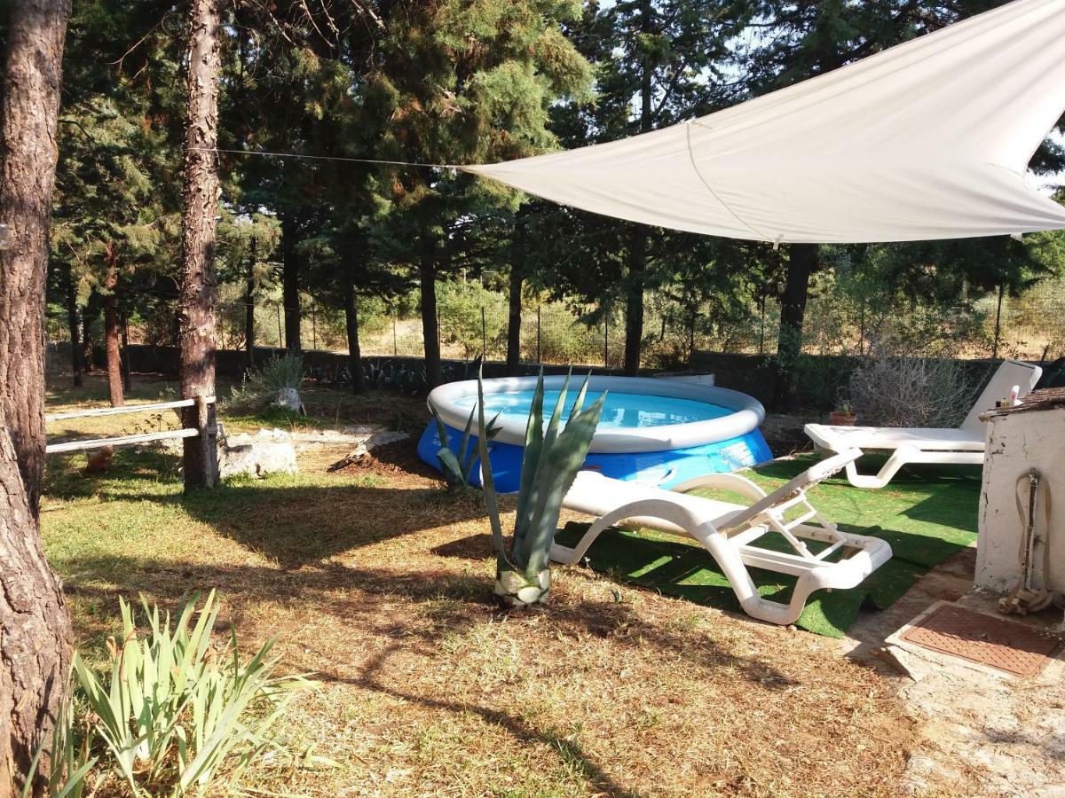 קאסאנו דלה מורג'ה Villa Parco Alta Murgia מראה חיצוני תמונה